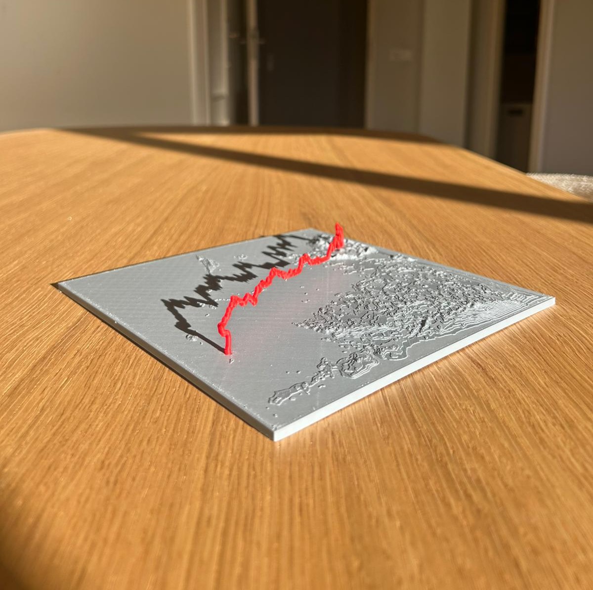 v1.1 print: grey terrain, coral track, edge-to-edge with edge fade.